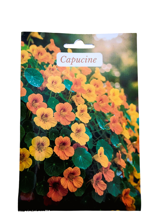 Capucine Graines de Fleurs