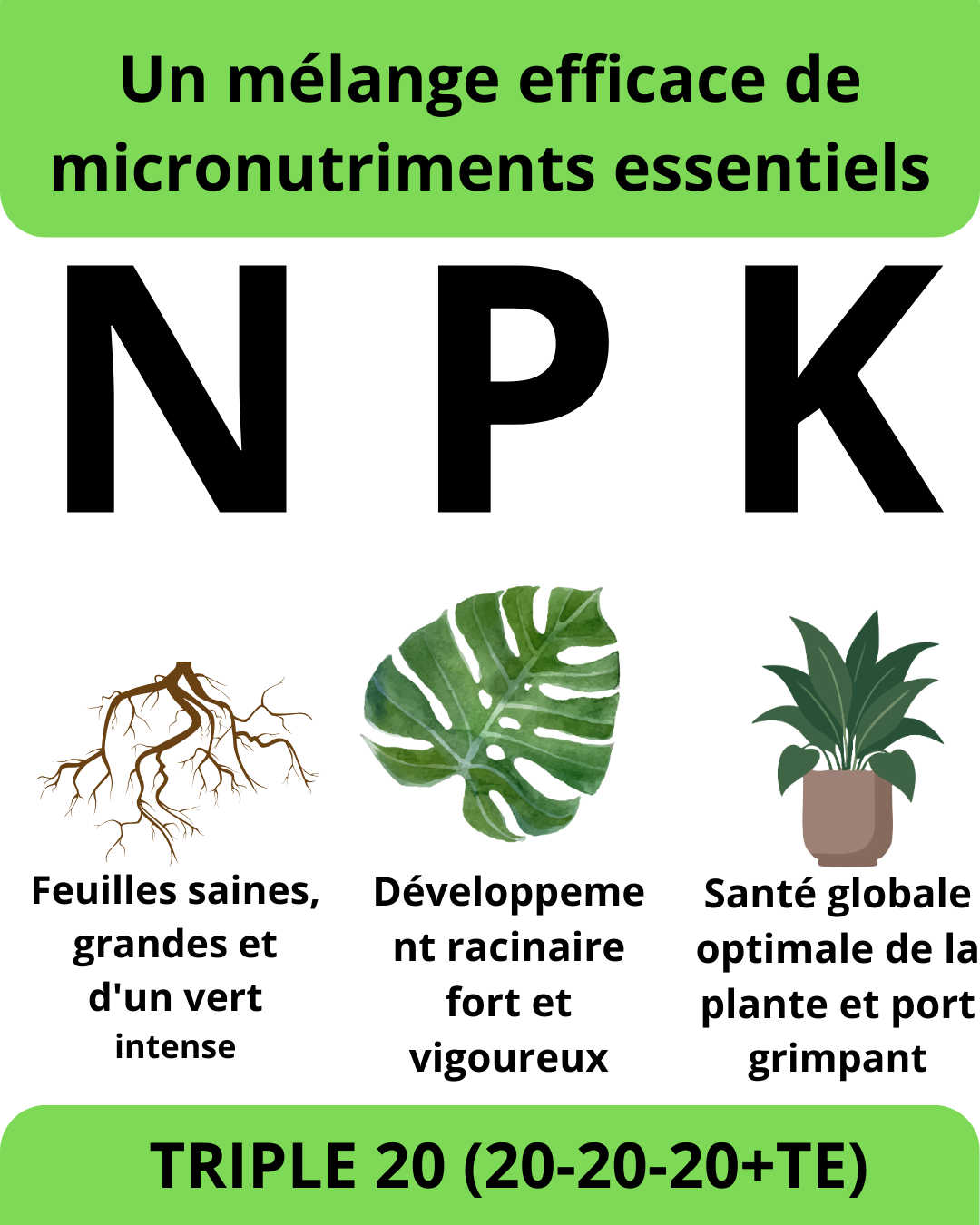 TRIPLE 20 – Nutrition Complète pour des Plantes Plus Vertes et Plus Vigoureuses