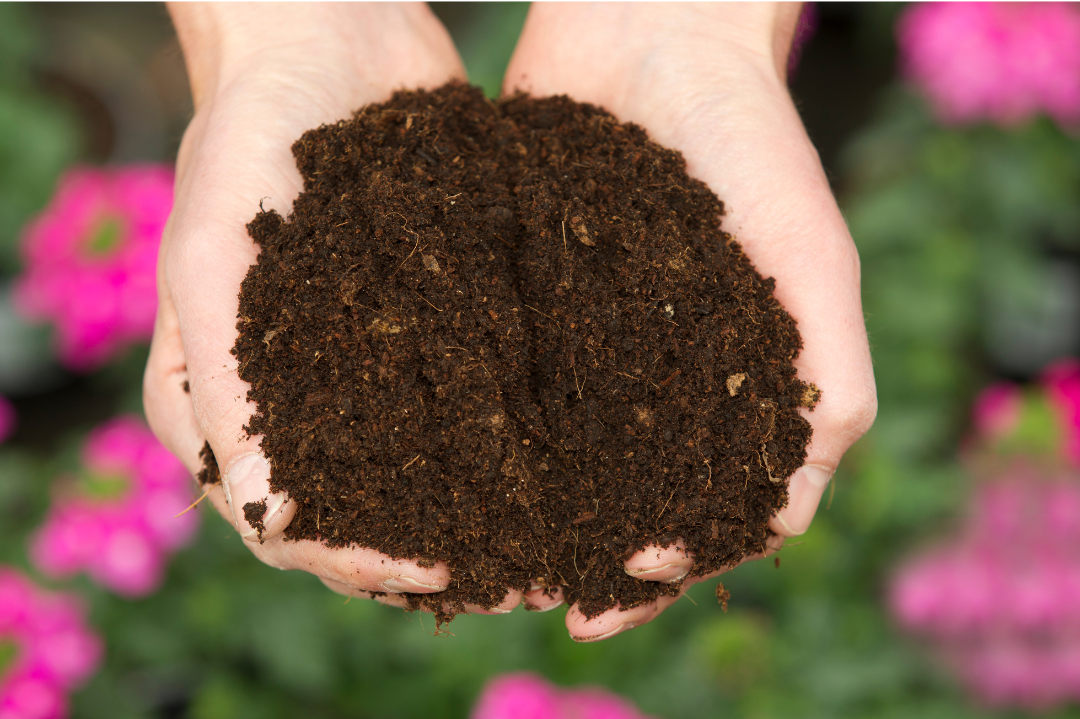 Collection Terreaux – Semis, Rempotage et Jardinage