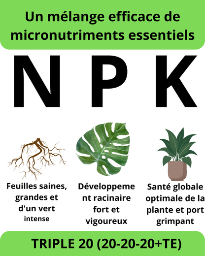 TRIPLE 20 – Nutrition Complète pour des Plantes Plus Vertes et Plus Vigoureuses